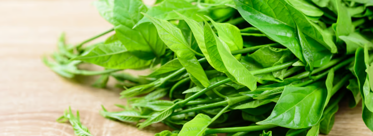 Ekstrakt z liści Gurmar