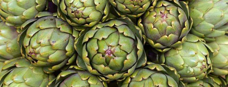 Ekstrakt z Karczocha zwyczajnego